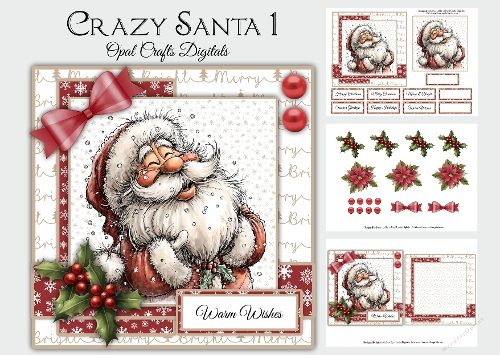 Crazy Santa 1