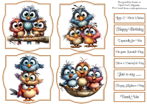 Quirky Birds Topper & Sentiment Kit