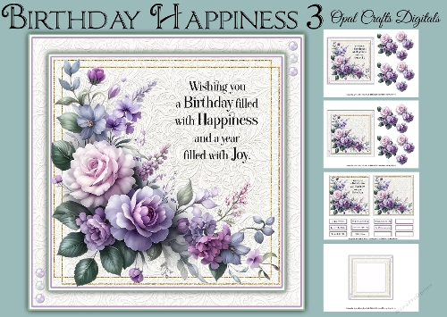 Birthday Happiness 3