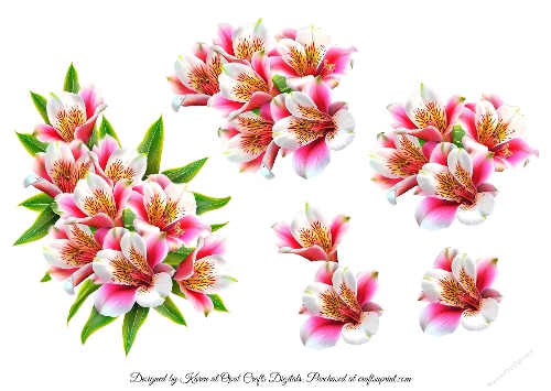3D Decoupage Alstromeria Sheet 2