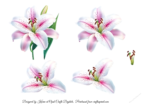3D Decoupage Lilies Sheet 2