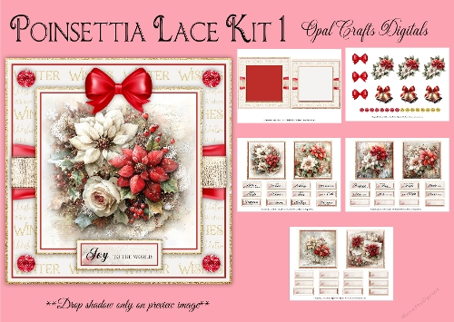 Poinsettia Lace Kit 1