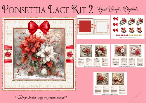 Poinsettia Lace Kit 2