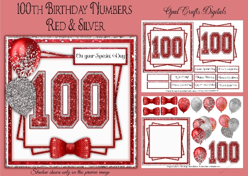 100th Birthday Glitter Red & Silver Mini Kit 