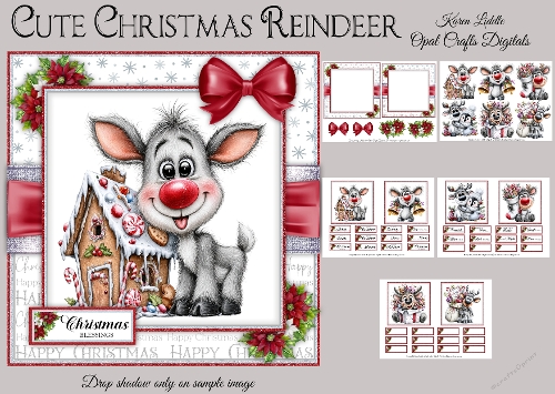 Cute Christmas Reindeer Mini Kit