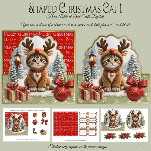 Shaped Cat 1 Mini Kit
