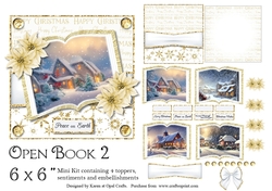 Open Book 2