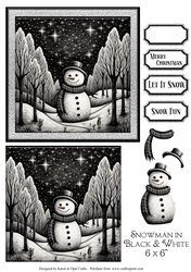 Snowman In Black & White