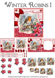 Winter Robins 1