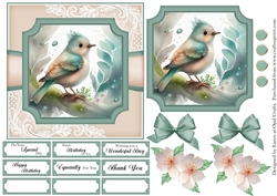Pretty Birds 2