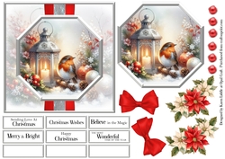 Robin & Lantern 1