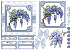 Wisteria Garden 8