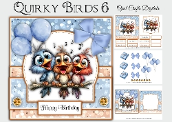 Quirky Birds 6