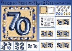 Milestone Birthdays Navy & Gold