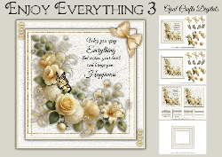 Enjoy Everything 3