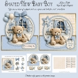 Shaped New Baby Boy 5 Mini Kit