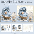 Shaped New Baby Boy 6 Mini Kit