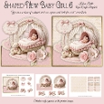 Shaped New Baby Girl 6 Mini Kit