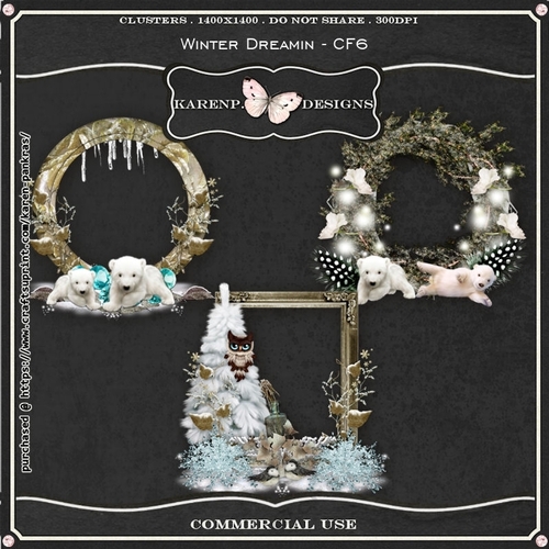 WinterDreamin-CF6c