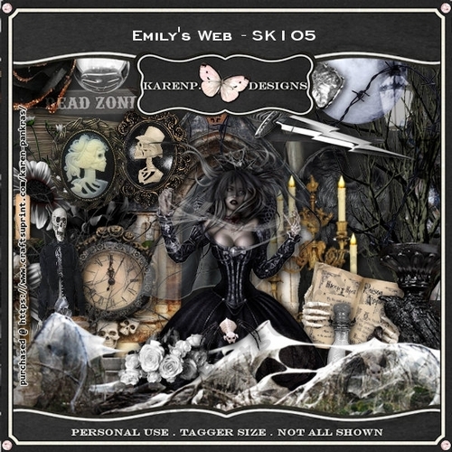 KarenP.D_SK105-Emily-sWeb