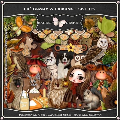 KarenP.D_SK116-LilGnomeNFriends