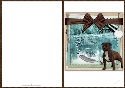 KP.D_YourWings-Staffordshire Bull Terrier2