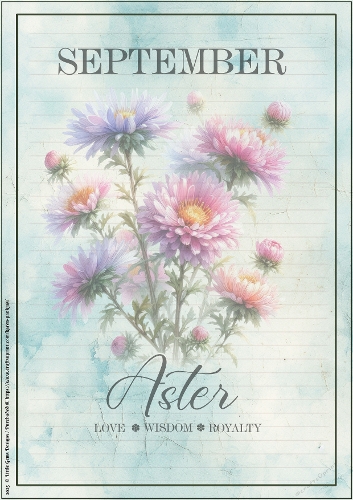 LGD25-CU Stationary - September Aster