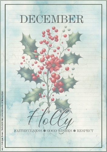 LGD25-CU Stationary - December Holly