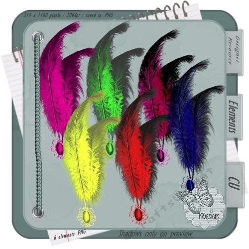 045CUP_DR-feathers2