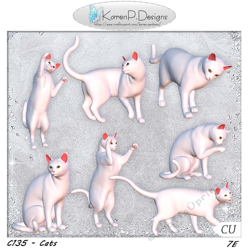 C135-CatsCU
