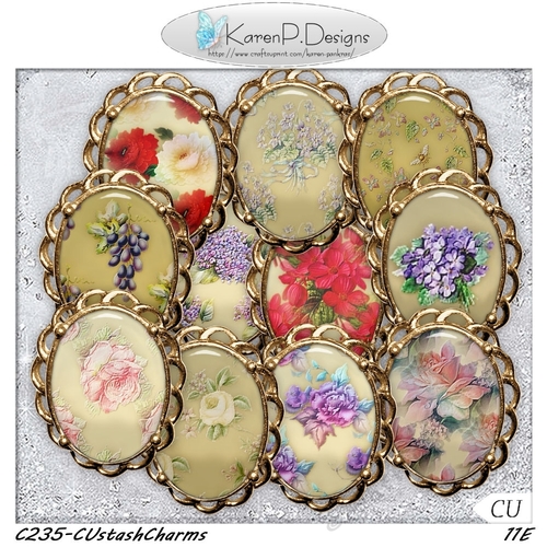 C235-CUstashCharms