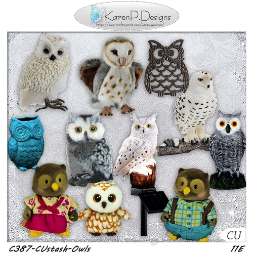 C387-CUstash-Owls