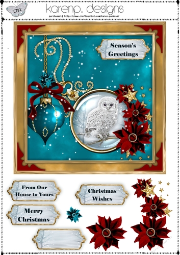C791-CU-AS teal xmas2