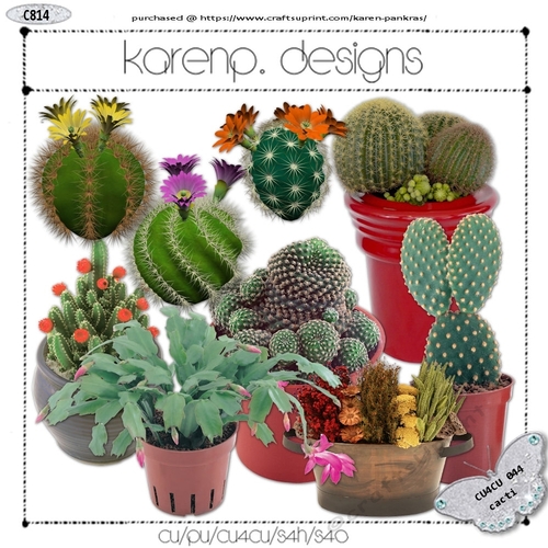 814-CU4CU-044cacti