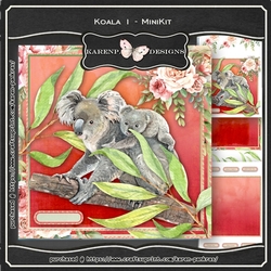 Koala1