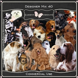 Designer Mix 40