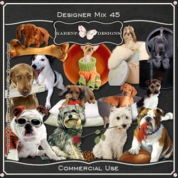 Designer Mix 45