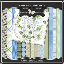 KP.D_PP-Spring3