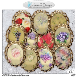 C235-CUstashCharms