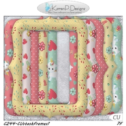 C244-CUstashFrames1