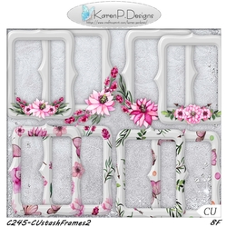 C245-CUstashFrames2
