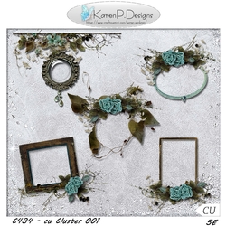 C434-cuCluster 001