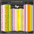 WelcomeInTheFantasyWorld of...-18FSpapers2(FS)-cu4cu