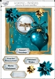 C793-CU-AS teal xmas4