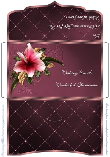 Festive Amaryllis - Christmas Money Gift Envelope