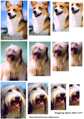 Dogs - Pyramid Toppers 1