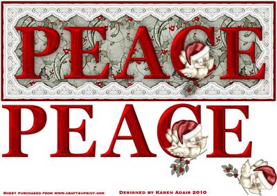 Bird of Peace Large Dl Card Front with Step by Step
