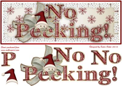 No Peeking! Large Dl Sized Card Front and Step by Step
