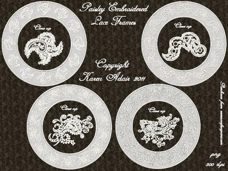Paisley Embroidered Lace Frames