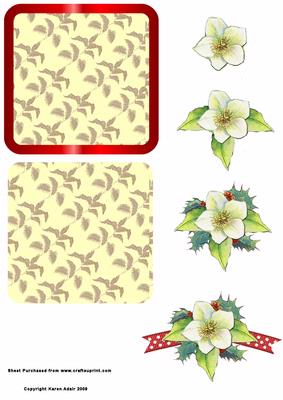 White Poinsettia Step by Step Topper
